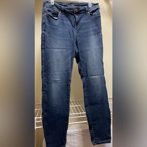 INC International Concepts Skinny Jean